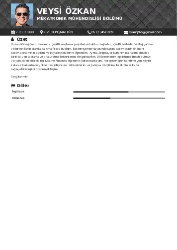 Mekatronik Mühendisliği Cv Örnekleri cv indir